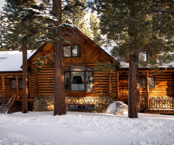cabin in snow surrounded by pine trees